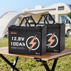 2 Pack 12V 100Ah Deep Cycle LiFePO4 Battery BMS Lithium Iron Phosphate Battery (Option: Black)